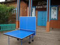 Тенисный стол для ЦД Семеновск